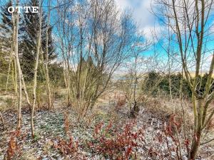 Prodej pozemku pro bydlení, Holýšov, K Višňovce, 840 m2