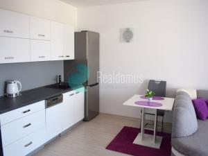 Pronájem bytu 2+kk, České Budějovice - České Budějovice 5, E. Beneše, 45 m2