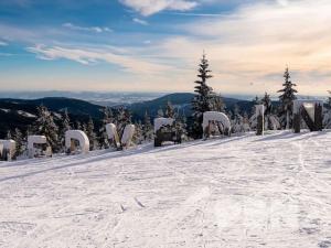 Prodej bytu 4+kk, Zlaté Hory, Na Okálech, 108 m2