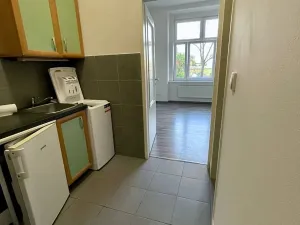 Pronájem bytu 1+kk, Praha - Vysočany, Freyova, 18 m2