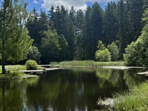 Prodej rodinného domu, Strašín - Maleč, 164 m2