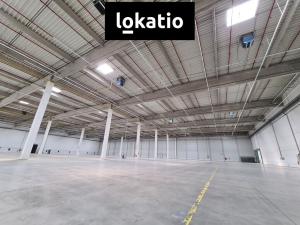 Pronájem skladu, Kadaň, Královský Vrch, 4000 m2