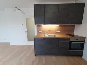 Pronájem bytu 2+kk, Praha - Hodkovičky, Šenácká, 65 m2