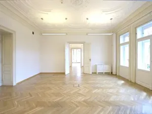 Pronájem kanceláře, Praha - Nové Město, Václavské náměstí, 210 m2