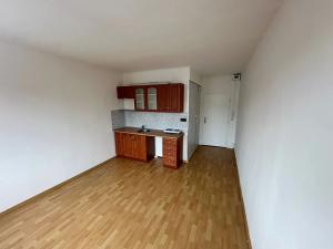 Pronájem bytu 1+kk, Děčín, Řetězová, 20 m2