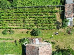 Prodej rodinného domu, Brod nad Dyjí, 200 m2