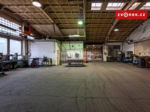 Pronájem výrobních prostor, Lípa, 6701 m2
