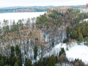 Prodej lesa, Mírová pod Kozákovem - Sekerkovy Loučky, 845 m2