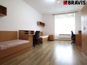 Pronájem bytu 1+kk, Brno - Královo Pole, Palackého třída, 20 m2