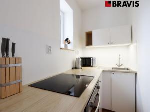 Pronájem bytu 1+kk, Brno - Zábrdovice, Cejl, 26 m2