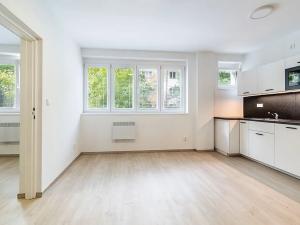 Pronájem bytu 2+kk, Praha - Břevnov, Svojsíkova, 39 m2