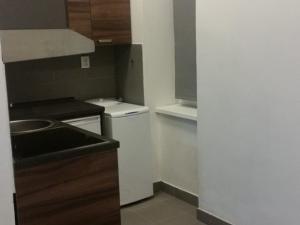 Pronájem bytu 1+kk, Praha - Vysočany, Freyova, 24 m2