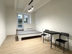 Pronájem bytu 1+kk, Praha - Nusle, Na bitevní pláni, 27 m2