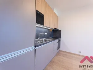 Pronájem bytu 2+kk, Praha - Řepy, Laudova, 44 m2