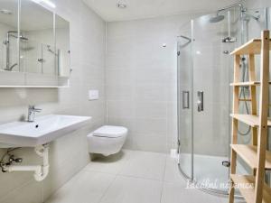 Pronájem bytu 1+kk, Brno - Husovice, Provazníkova, 55 m2