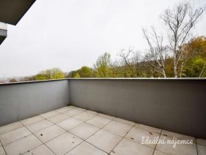 Pronájem bytu 1+kk, Brno - Husovice, Provazníkova, 55 m2