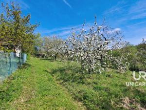 Prodej chaty, Židlochovice, 40 m2