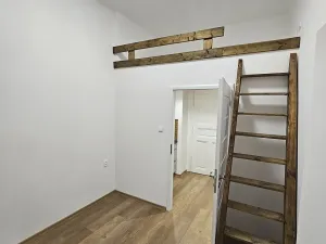 Pronájem bytu 1+kk, Praha - Vinohrady, Mánesova, 19 m2