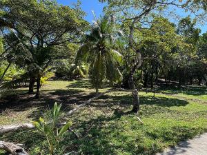 Prodej pozemku, Coxen Hole, Roatán, Honduras, 770 m2