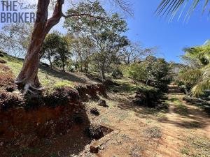 Prodej pozemku, Jonesville, José Santos Guardiola, Honduras, 1594 m2