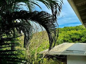 Prodej rodinného domu, Roatan, José Santos Guardiola, Honduras, 334 m2