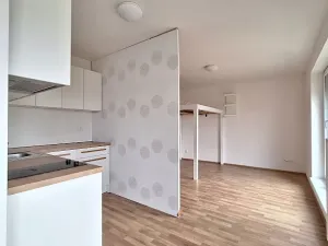 Pronájem bytu 1+kk, Praha - Holešovice, Malá Plynární, 29 m2