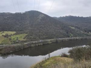 Prodej lesa, Ústí nad Labem, 13913 m2