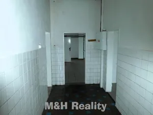 Pronájem výrobních prostor, Frýdlant nad Ostravicí, 100 m2