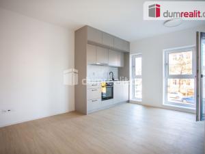 Pronájem bytu 1+kk, České Budějovice - České Budějovice 6, Nádražní, 30 m2