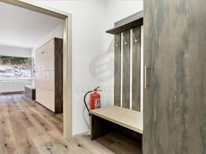 Pronájem bytu 1+kk, Ostrov - Horní Žďár, 26 m2