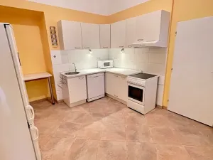 Pronájem bytu 2+kk, Praha - Vinohrady, Mánesova, 70 m2