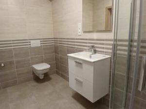 Pronájem bytu 2+kk, Blovice, Javorová, 47 m2