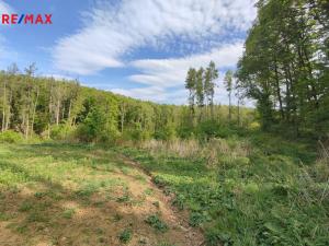 Prodej lesa, Vladislav, 17681 m2