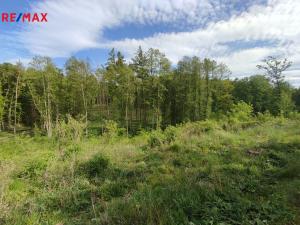 Prodej lesa, Vladislav, 17681 m2