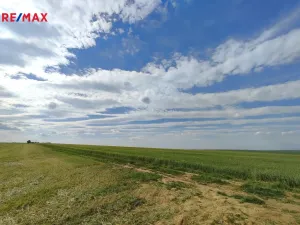 Prodej lesa, Číměř, 17681 m2