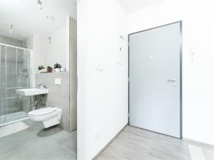 Pronájem bytu 1+kk, Liberec - Liberec IV-Perštýn, Na Perštýně, 42 m2