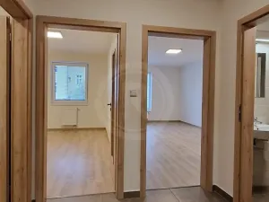 Pronájem bytu 2+kk, České Budějovice, Riegrova, 46 m2