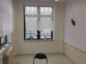 Pronájem obchodního prostoru, Ostrava - Hrabůvka, Dr. Martínka, 52 m2