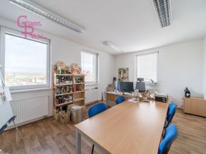 Prodej komerční nemovitosti, Těmice, 2178 m2