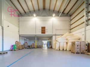 Prodej komerční nemovitosti, Těmice, 2178 m2