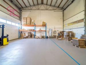 Prodej komerční nemovitosti, Těmice, 2178 m2