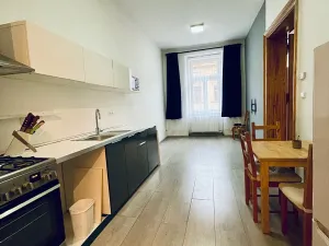 Pronájem bytu 2+kk, Brno, Údolní, 68 m2