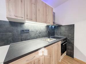 Pronájem bytu 1+kk, Ústí nad Labem, Spartakiádní, 32 m2