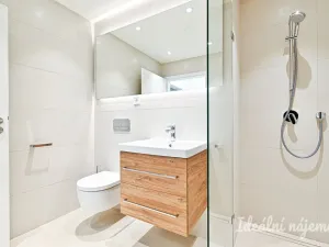 Pronájem bytu 1+kk, Brno, Cejl, 29 m2