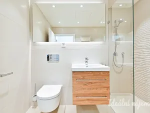 Pronájem bytu 1+kk, Brno, Cejl, 29 m2