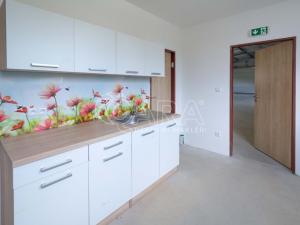 Pronájem výrobních prostor, Mělník, Plavební, 250 m2