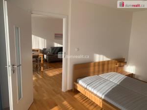 Pronájem bytu 2+kk, Praha - Vinohrady, Mánesova, 49 m2