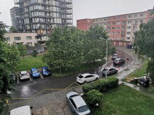 Pronájem bytu 1+kk, Praha - Žižkov, Jana Želivského, 35 m2