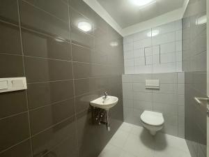 Pronájem bytu 2+kk, České Budějovice, Vrbenská, 64 m2