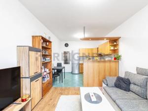 Prodej bytu 2+kk, Brno, Oblá, 58 m2